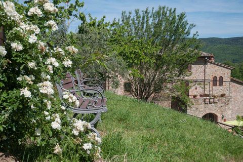 Farm hus i Piegaro, Perugia, Piegaro - € 1.330.000 | Ref: PIEG01-573220 - foto 16