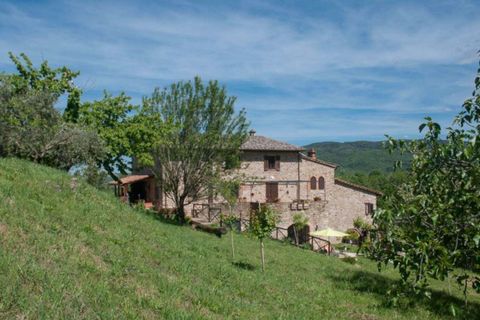Farm hus i Piegaro, Perugia, Piegaro - € 1.330.000 | Ref: PIEG01-573220 - foto 23