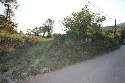 Helårsgrund i Penela, Coimbra, Penela - € 18.000 | Ref: 45930 - foto 11