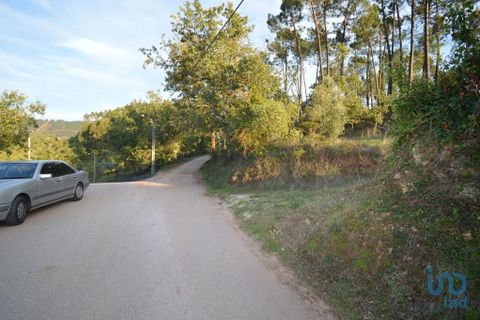 Helårsgrund i Penela, Coimbra, Penela - € 18.000 | Ref: 45930 - foto 12