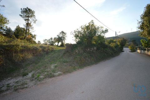 Helårsgrund i Penela, Coimbra, Penela - € 18.000 | Ref: 45930 - foto 13