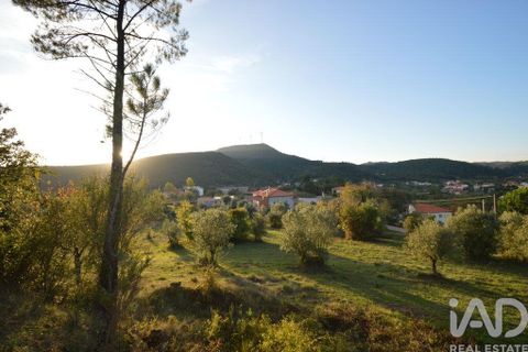 Helårsgrund i Penela, Coimbra, Penela - € 18.000 | Ref: 45930 - foto 16