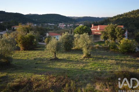 Helårsgrund i Penela, Coimbra, Penela - € 18.000 | Ref: 45930 - foto 17