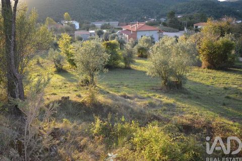 Helårsgrund i Penela, Coimbra, Penela - € 18.000 | Ref: 45930 - foto 18