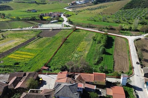 Terra a Valpacos, Vila Real, Valpacos - € 68.000 | Ref: 118279 - foto 3