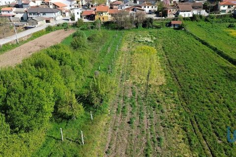 Terra a Valpacos, Vila Real, Valpacos - € 68.000 | Ref: 118279 - foto 4