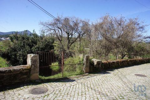 Terra a Valpacos, Vila Real, Valpacos - € 68.000 | Ref: 118279 - foto 7