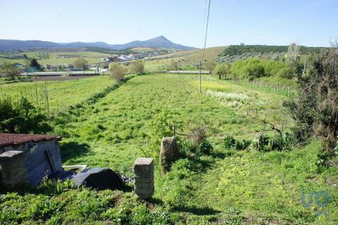 Terra a Valpacos, Vila Real, Valpacos - € 68.000 | Ref: 118279 - foto 8