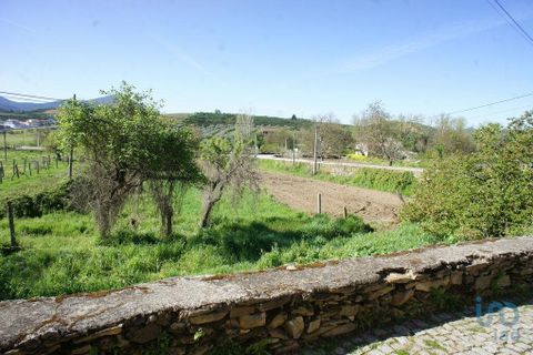 Terra a Valpacos, Vila Real, Valpacos - € 68.000 | Ref: 118279 - foto 9