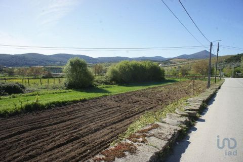Terra a Valpacos, Vila Real, Valpacos - € 68.000 | Ref: 118279 - foto 12