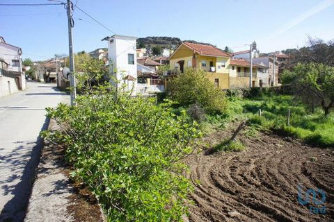 Terra a Valpacos, Vila Real, Valpacos - € 68.000 | Ref: 118279 - foto 13
