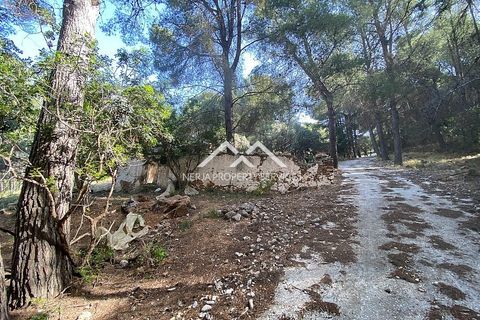 Grond in Frigiliana, Malaga - foto 2
