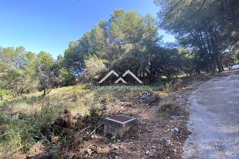 Grond in Frigiliana, Malaga - foto 4