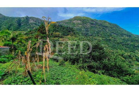 Villa i Sao Vincente, Madeira, Sao Vincente - € 120.000 | Ref: DEED/1001 - foto 10