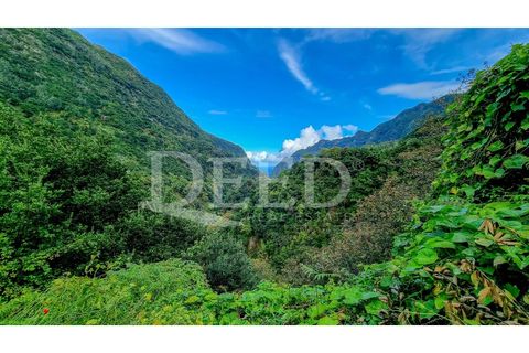 Villa i Sao Vincente, Madeira, Sao Vincente - € 120.000 | Ref: DEED/1001 - foto 11