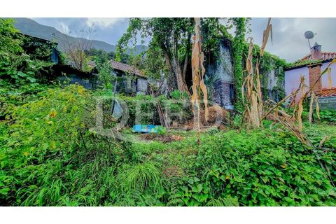 Villa i Sao Vincente, Madeira, Sao Vincente - € 120.000 | Ref: DEED/1001 - foto 12
