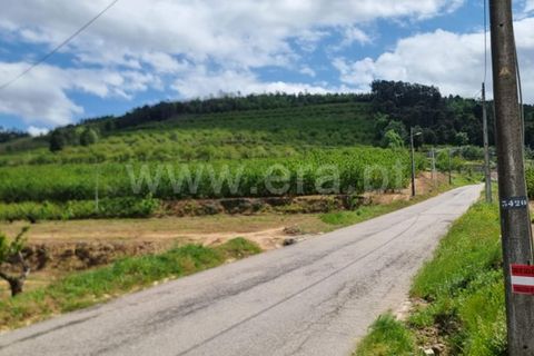 Terra a Fundao, Castelo Branco, Fundao - € 950.000 | Ref: 255250145 - foto 2