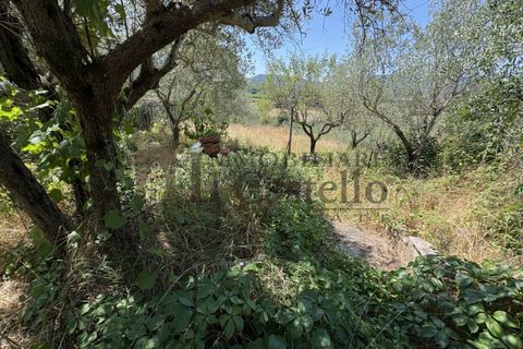 Rækkehus i Piegaro, Perugia, Piegaro - € 50.000 | Ref: PO351 - foto 10