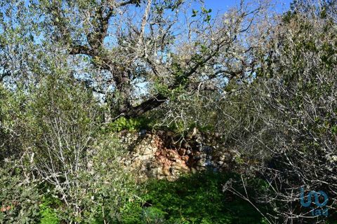 Byhus i Ourem, Santarem, Ourem - € 47.500 | Ref: 146634 - foto 5