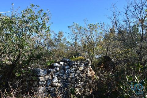 Byhus i Ourem, Santarem, Ourem - € 47.500 | Ref: 146634 - foto 12