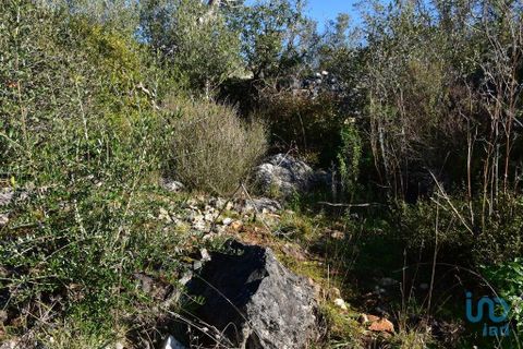 Byhus i Ourem, Santarem, Ourem - € 47.500 | Ref: 146634 - foto 14