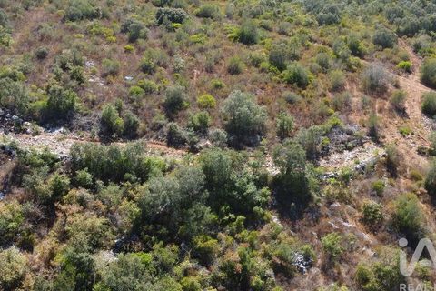 Byhus i Ourem, Santarem, Ourem - € 47.500 | Ref: 146634 - foto 23