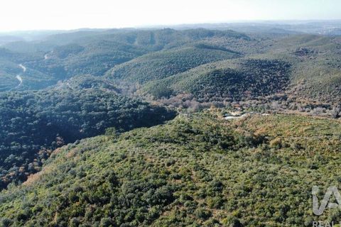 Byhus i Ourem, Santarem, Ourem - € 47.500 | Ref: 146634 - foto 26