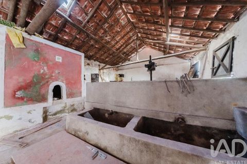 Byhus i Peniche, Leiria, Peniche - € 150.000 | Ref: 146704 - foto 19