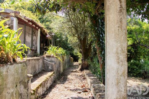 Byhus i Abrantes, Santarem, Abrantes - € 770.000 | Ref: 119611 - foto 22