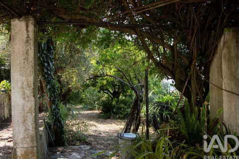 Byhus i Abrantes, Santarem, Abrantes - € 770.000 | Ref: 119611 - foto 23