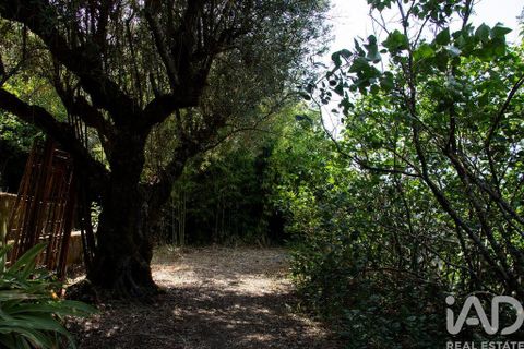 Byhus i Abrantes, Santarem, Abrantes - € 770.000 | Ref: 119611 - foto 24