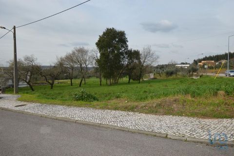 Helårsgrund i Ansiao, Leiria, Ansiao - € 36.000 | Ref: 53644 - foto 1
