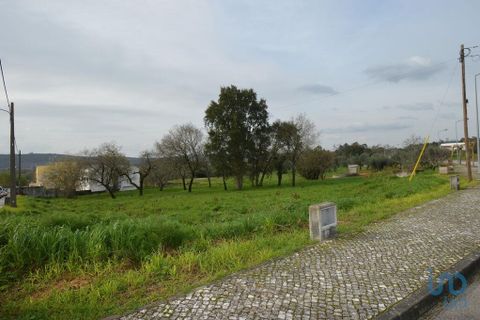 Helårsgrund i Ansiao, Leiria, Ansiao - € 36.000 | Ref: 53644 - foto 2