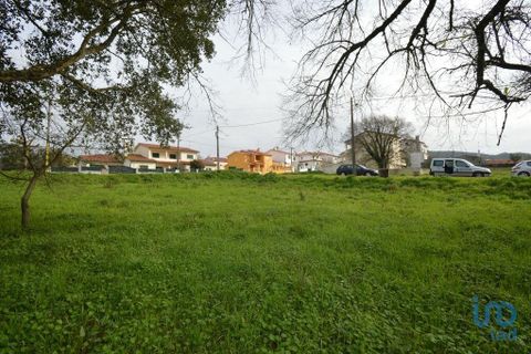 Helårsgrund i Ansiao, Leiria, Ansiao - € 36.000 | Ref: 53644 - foto 5