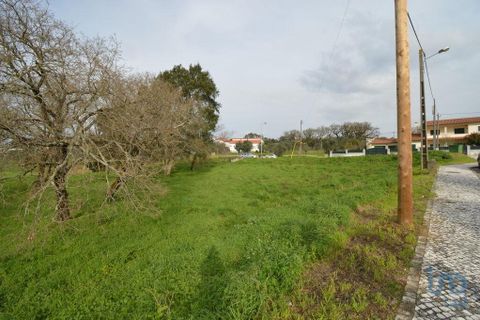 Helårsgrund i Ansiao, Leiria, Ansiao - € 36.000 | Ref: 53644 - foto 6