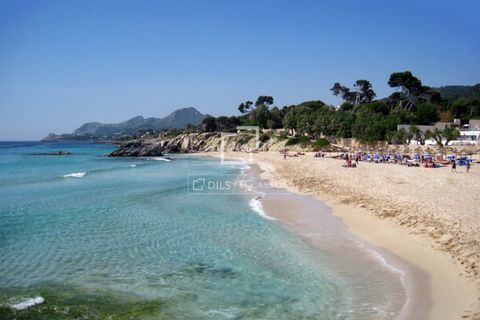 Leilighet i Cala Lliteres, Mallorca, Cala Lliteres - € 545 000 | Ref: MAL61994 - foto 16