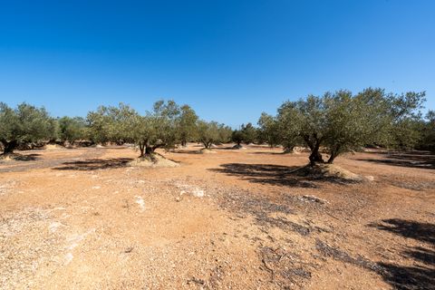 Landejendom i L'Aldea, Tarragona, L'Aldea - € 145.000 | Ref: 927 - foto 23