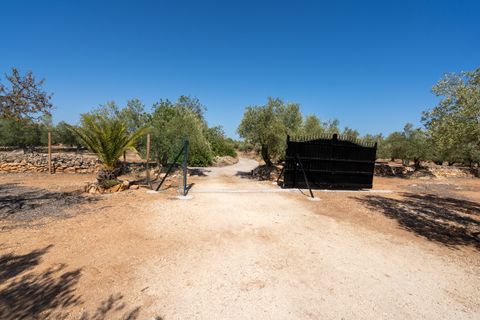 Landejendom i L'Aldea, Tarragona, L'Aldea - € 145.000 | Ref: 927 - foto 22