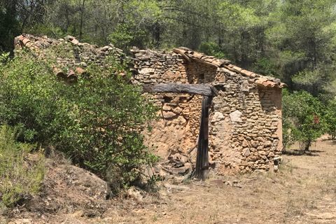 Finca i Benifallet, Tarragona, Benifallet - € 20.000 | Ref: Cn - foto 21