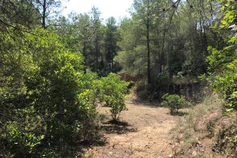 Finca i Benifallet, Tarragona, Benifallet - € 20.000 | Ref: Cn - foto 19