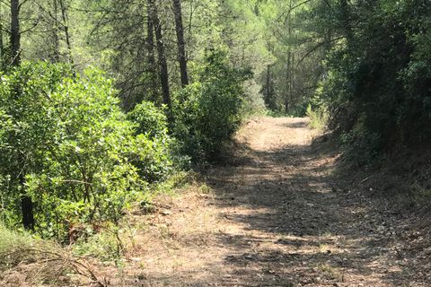 Finca i Benifallet, Tarragona, Benifallet - € 20.000 | Ref: Cn - foto 6