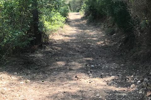 Finca i Benifallet, Tarragona, Benifallet - € 20.000 | Ref: Cn - foto 9