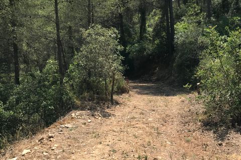 Finca i Benifallet, Tarragona, Benifallet - € 20.000 | Ref: Cn - foto 13