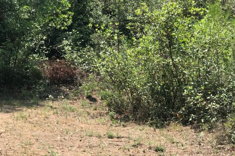 Finca i Benifallet, Tarragona, Benifallet - € 20.000 | Ref: Cn - foto 5