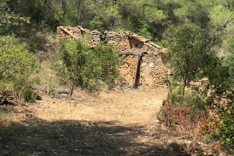Finca i Benifallet, Tarragona, Benifallet - € 20.000 | Ref: Cn - foto 7