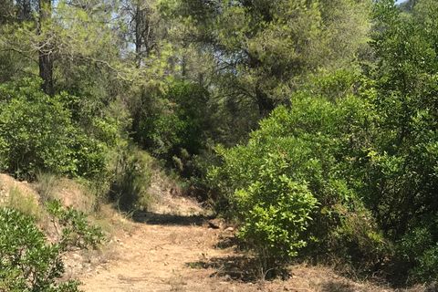 Finca i Benifallet, Tarragona, Benifallet - € 20.000 | Ref: Cn - foto 16