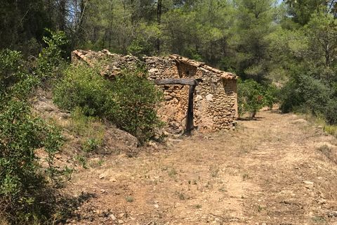 Finca i Benifallet, Tarragona, Benifallet - € 20.000 | Ref: Cn - foto 1