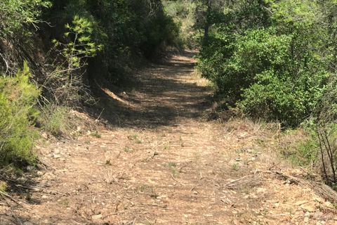 Finca i Benifallet, Tarragona, Benifallet - € 20.000 | Ref: Cn - foto 3
