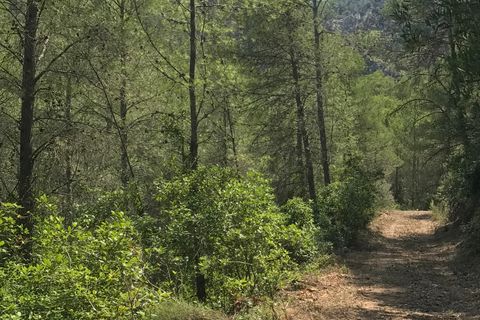 Finca i Benifallet, Tarragona, Benifallet - € 20.000 | Ref: Cn - foto 8