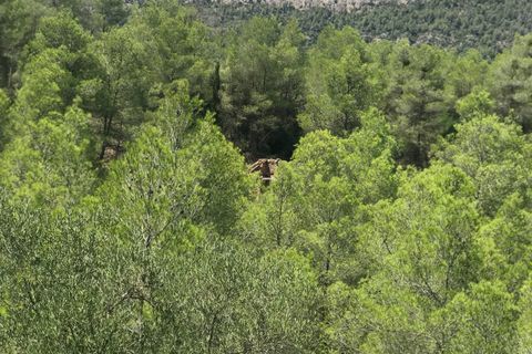 Finca i Benifallet, Tarragona, Benifallet - € 20.000 | Ref: Cn - foto 2